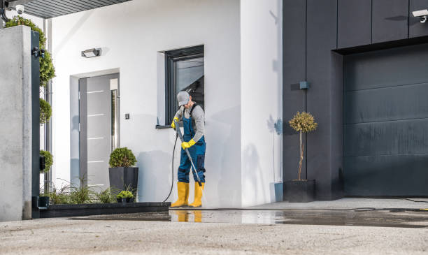 Best Soft Washing  in Chisago City, MN